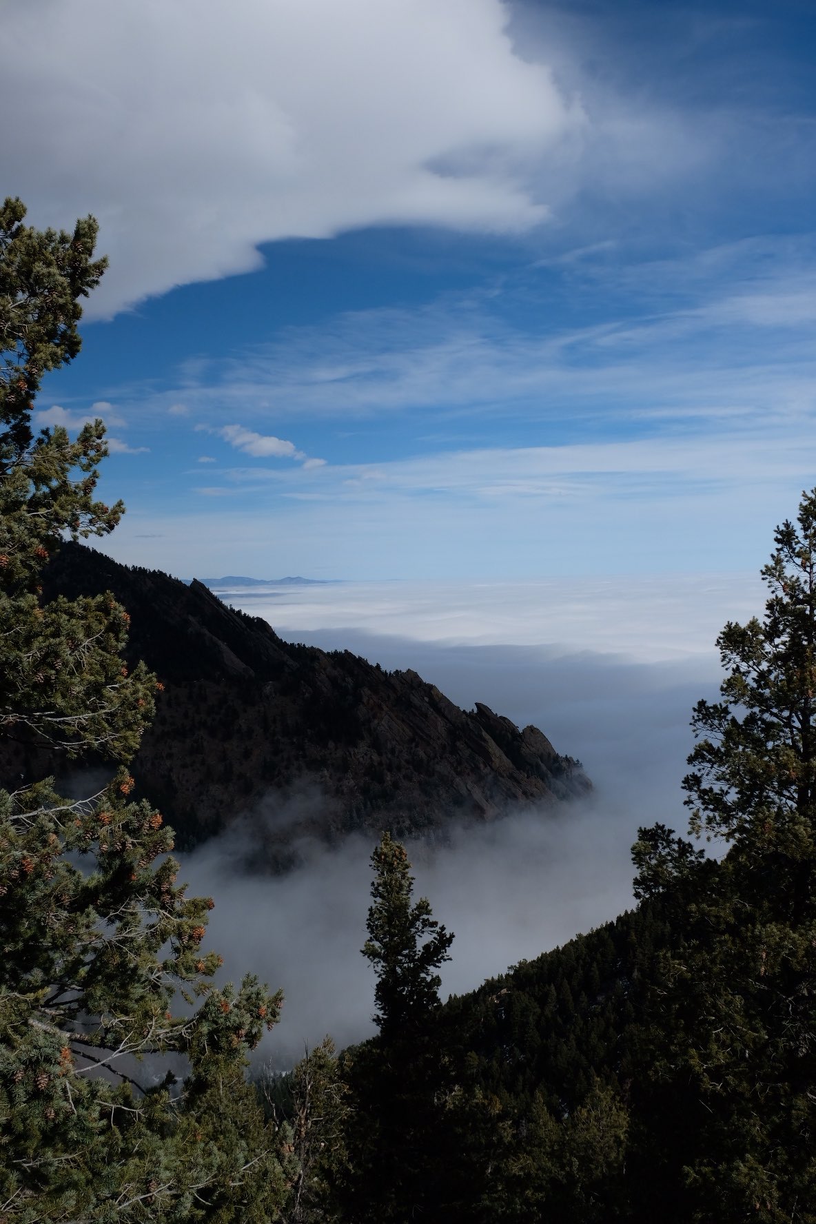 Fern Canyon Trail Views