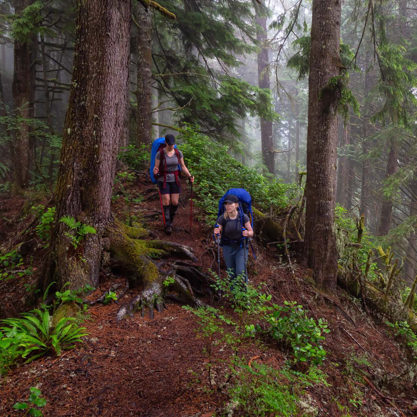 hiking in the rain: gear + tips