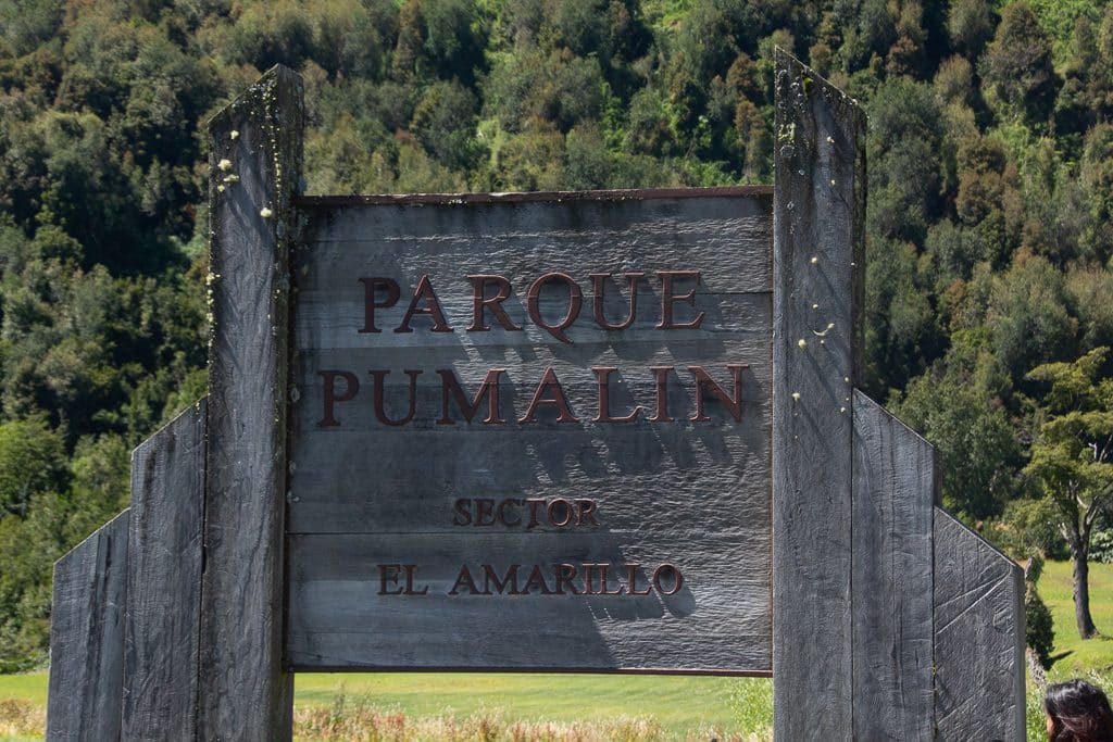Parque Pumalín