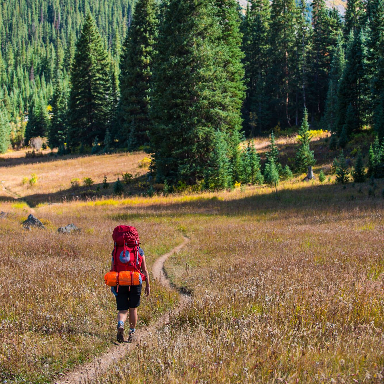 the best emergency plan for hiking or backpacking
