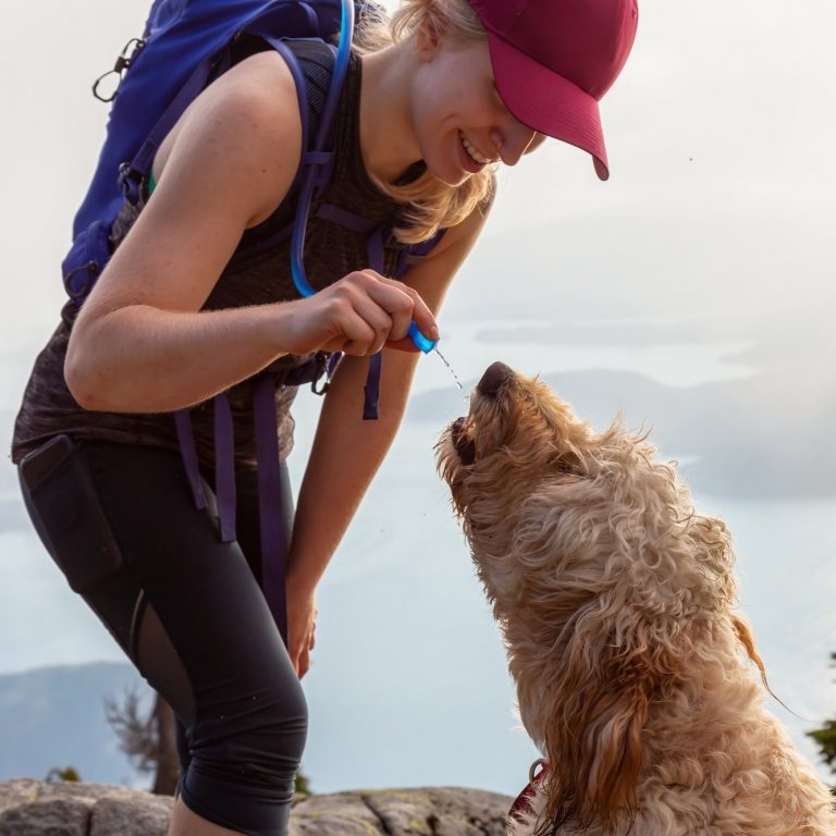 Best hydration bladders for hiking and backpacking