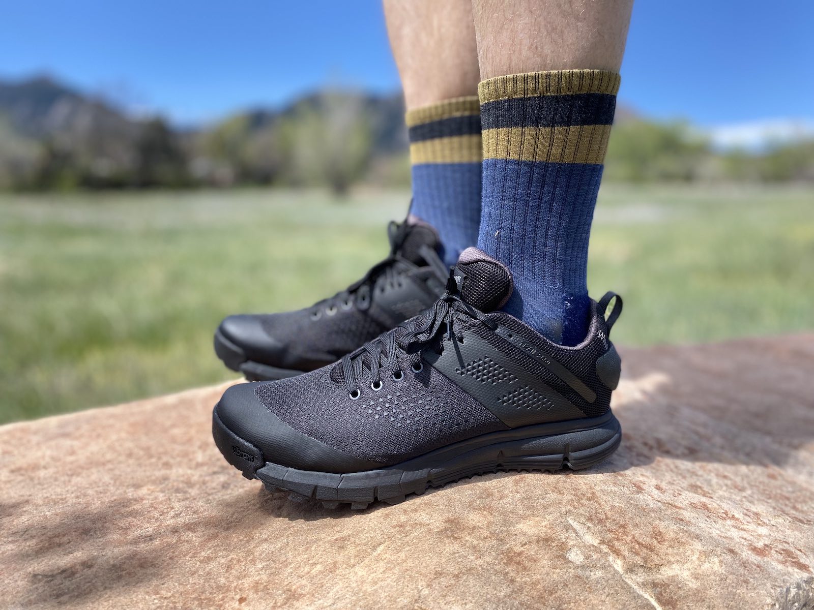 Danner Trail 2650 mens hiking shoe