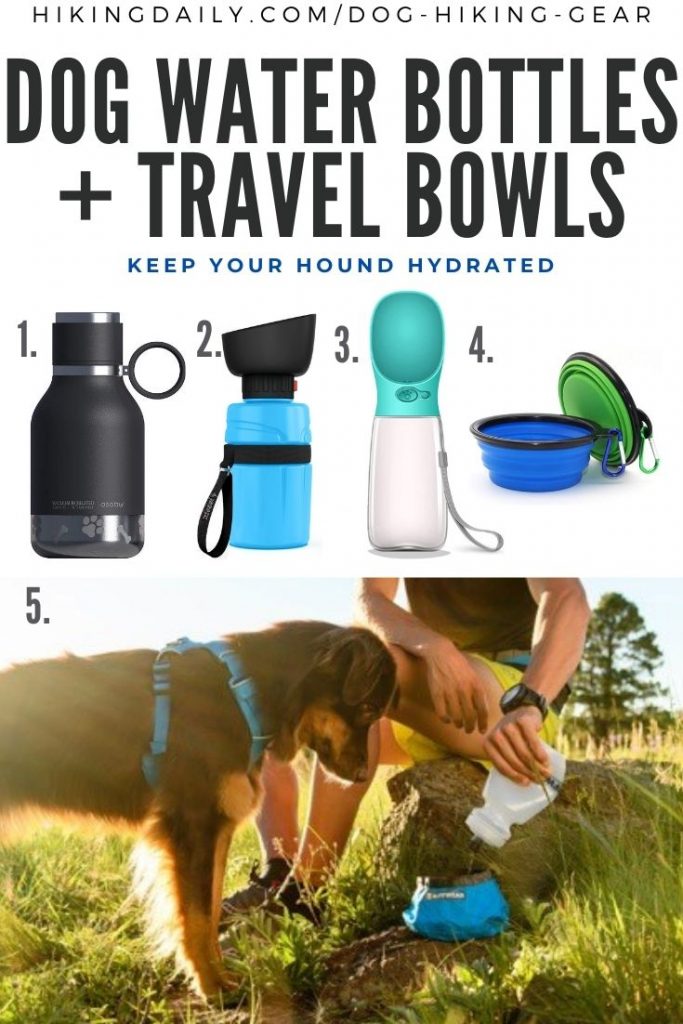 Best dog water bottle for outlet hiking