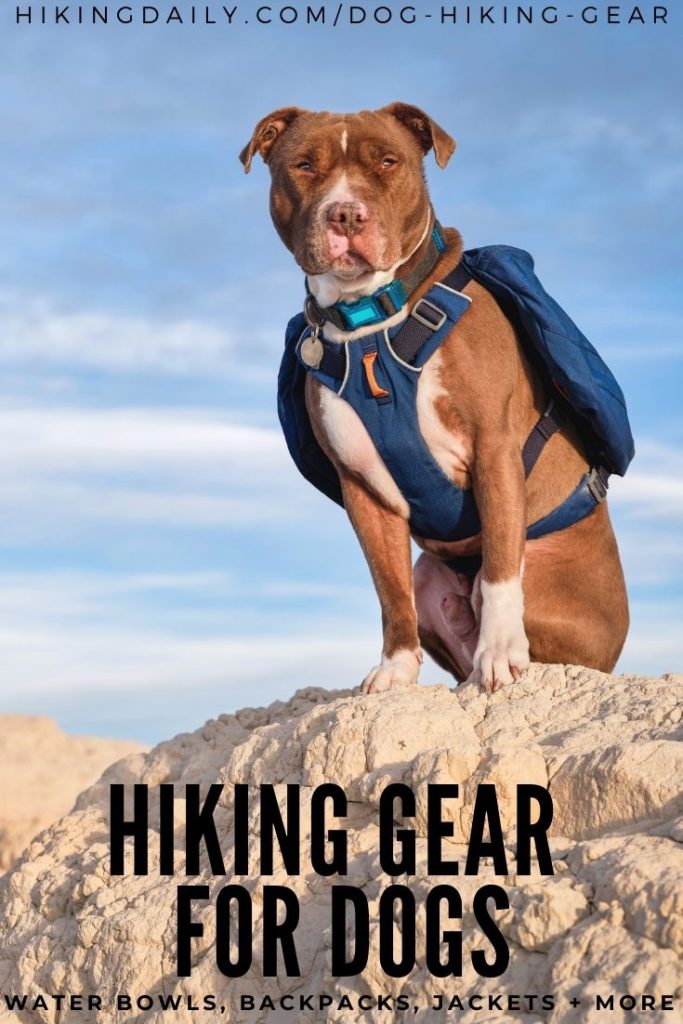 Dog hiking gear