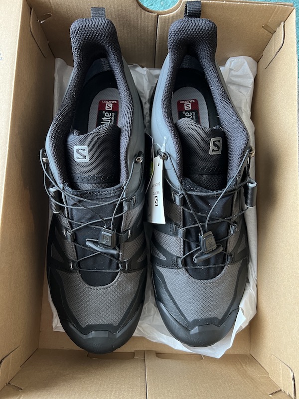 Salomon X Ultra 4 GTX hiking shoes (2022)