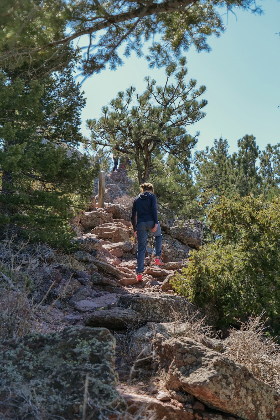 Kuhl's Freeflex Move hiking pants