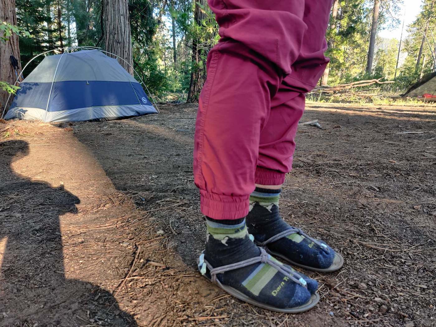 Best hiking camping backpacking wol socks
