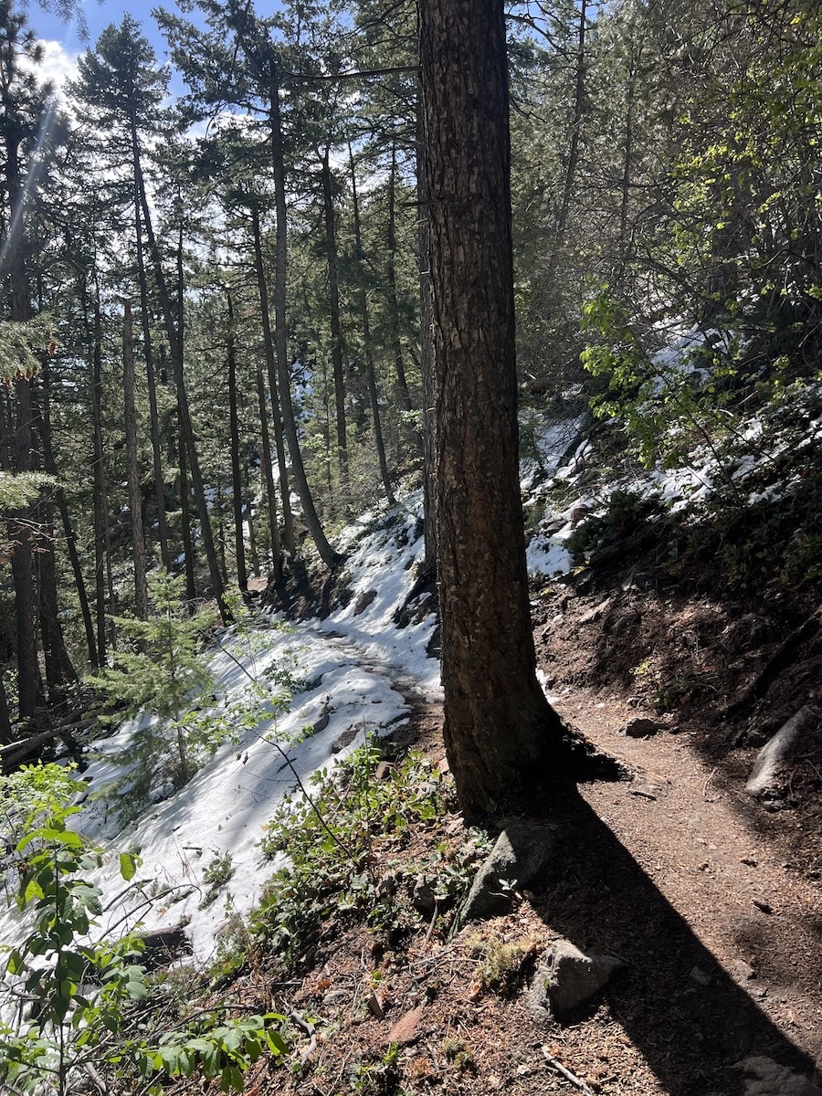 View South East on Saddle Rock Connector Trail in Boulder Colorado